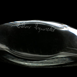 SACS collections by Silvano Signoretto