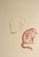 Load image into Gallery viewer, 1940s French lithograph of a Study of cat
