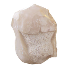 Load image into Gallery viewer, Large Mid-Century Italian Alabaster Abstract Torso Sculpture