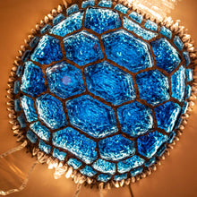 Load image into Gallery viewer, Blue Turtle illuminating sculpture by Campanella