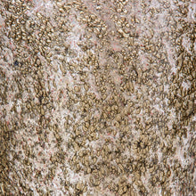 Load image into Gallery viewer, Brass inclusion blown glass by Alberto Dona