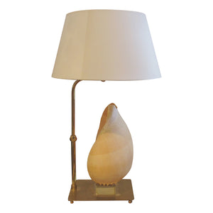 Mid-Century French Shell Table Lamp, 1950s