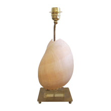 Load image into Gallery viewer, Mid-Century French Shell Table Lamp, 1950s
