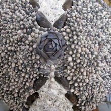 Load image into Gallery viewer, 1960s Elegant Twin Shell Globes with Handcrafted Coastal Art, English