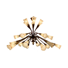 Load image into Gallery viewer, 1950s French Genet et Michon Chandelier with Cala Shades by Sevres