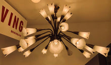 Load image into Gallery viewer, 1950s French Genet et Michon Chandelier with Cala Shades by Sevres