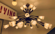 Load image into Gallery viewer, 1950s French Genet et Michon Chandelier with Cala Shades by Sevres