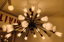 Load image into Gallery viewer, 1950s French Genet et Michon Chandelier with Cala Shades by Sevres