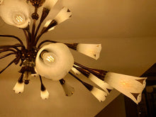 Load image into Gallery viewer, 1950s French Genet et Michon Chandelier with Cala Shades by Sevres