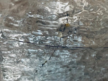 Load image into Gallery viewer, 1970s Kaiser Ice Glass Flush Mount Ceiling Light