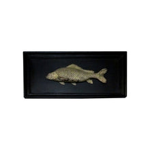 Load image into Gallery viewer, Set of 6 unique bronze freshwater fish mounted on a black frame, early 20th century