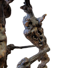 Load image into Gallery viewer, 1950s French, Set Of 3 Twisted Grape-vine Roots Bar Stools