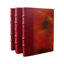Load image into Gallery viewer, French Early 20th Century Set of 19 Novels Red Leather-Bound books