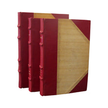 Load image into Gallery viewer, French Early 20th Century Set of 19 Novels Red Leather-Bound books