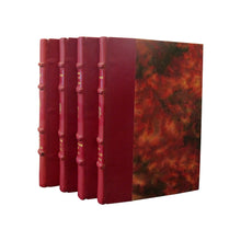 Load image into Gallery viewer, French Early 20th Century Set of 19 Novels Red Leather-Bound books