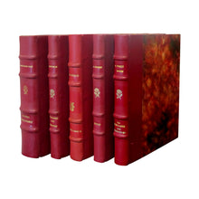 Load image into Gallery viewer, French Early 20th Century Set of 19 Novels Red Leather-Bound books