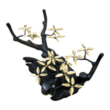 Load image into Gallery viewer, Belgian, 1970s Willy Daro Oval “Bonsai” Coffee table