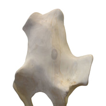 Load image into Gallery viewer, Mid-century Large Abstract White Driftwood Sculpture

