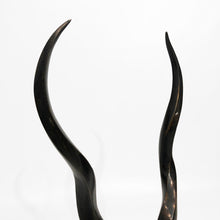 Load image into Gallery viewer, Brass Antelope Head Sculpture
