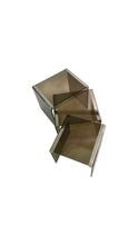 Load image into Gallery viewer, Gallotti &amp; Radice ‘Tris’ T35 Smoked Glass Nesting Tables
