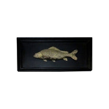 Load image into Gallery viewer, Set of 6 unique bronze freshwater fish mounted on a black frame, early 20th century
