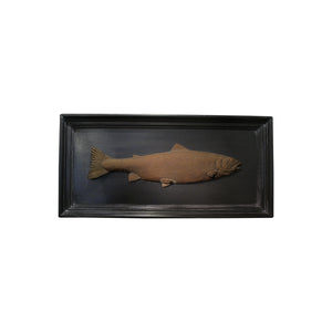 Set of 6 unique bronze freshwater fish mounted on a black frame, early 20th century