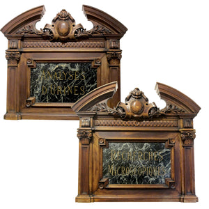 Late 19th Century Pair Of French Pharmacy Door Pediments