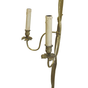 Early 1900s Pair of Large Gilt Bronze Wall lights in the Shape of a Bow Tie, French