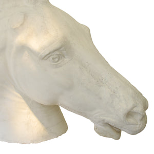Life size plaster sculpture of a horse head, French, early 20th century