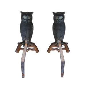A pair of cast iron owls andiron, American 1950's